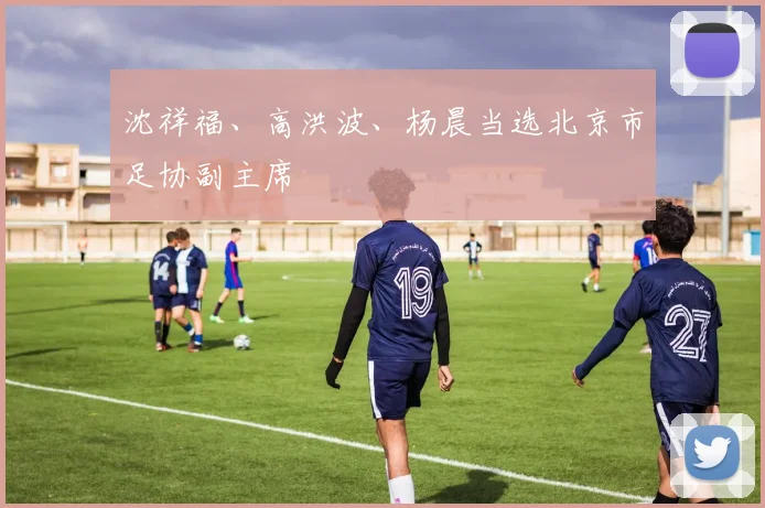 沈祥福、高洪波、杨晨当选北京市足协副主席
