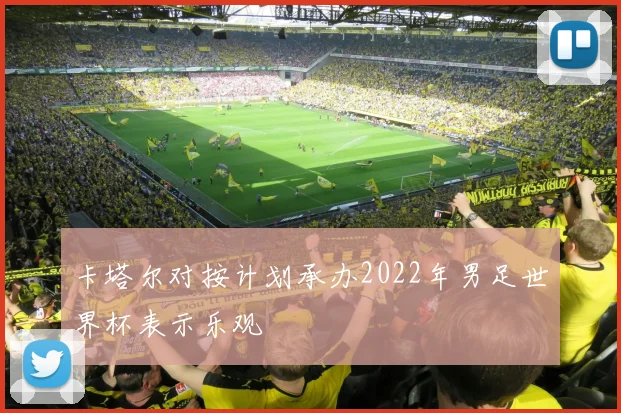 卡塔尔对按计划承办2022年男足世界杯表示乐观